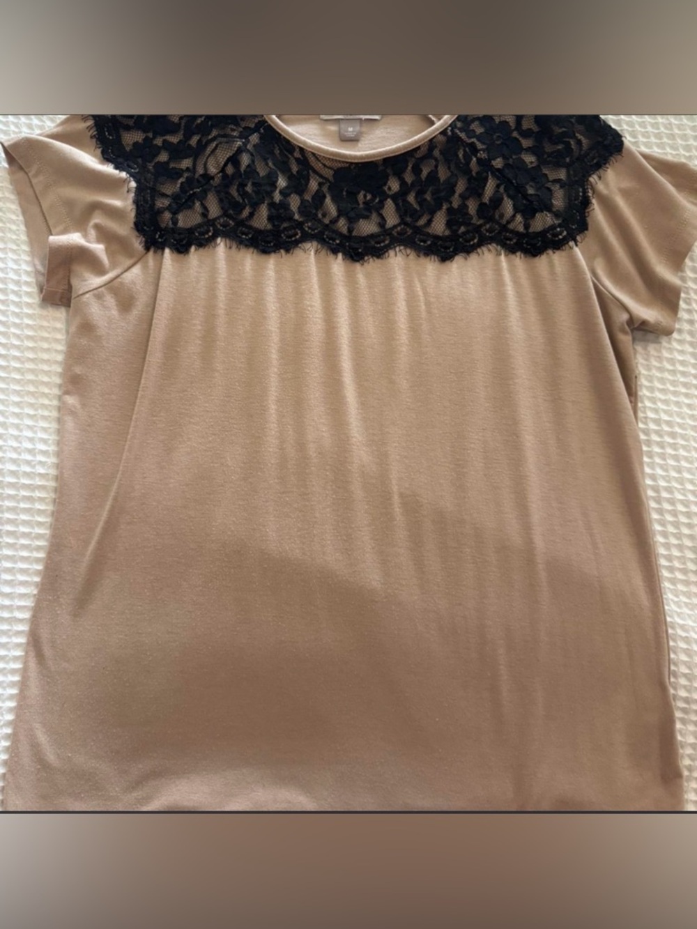 Roz & Ali Beige Short Sleeve Top with Black Lace Yoke